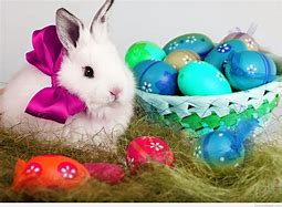 Grand Easter Brunch Package